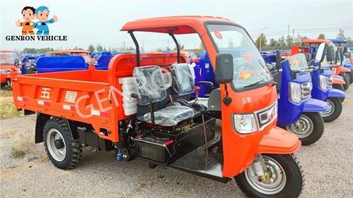Heavy Duty Rear Dump Small Motor Tricycle